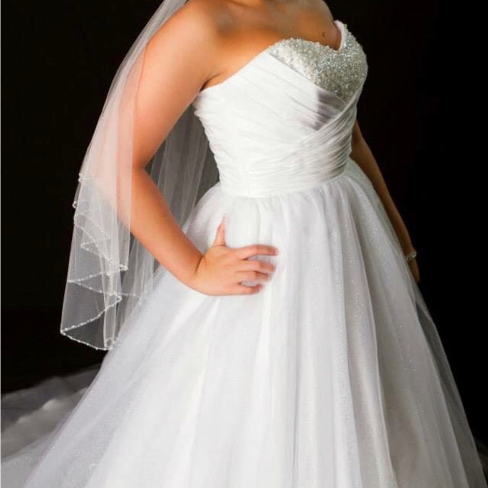 Alfred Angelo Cinderella Wedding dress.